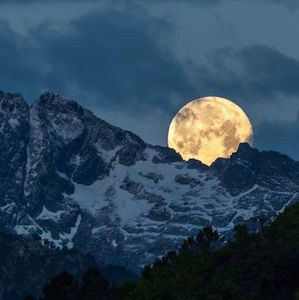 Meet your Posher, Luis fernando